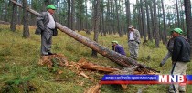 Ойн сангаа нэмэгдүүлэх боломжтой