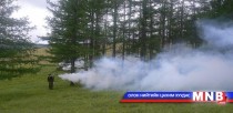 Ойн түймрийн 96 хувь нь хүний буруутай үйл ажиллагаанаас болдог 