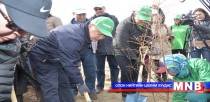  Маргааш “Бүх нийтээр мод тарих үндэсний өдөр” 