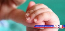 Нялхсын эндэгдлийг бууруулах олон улсын сургалт болж байна