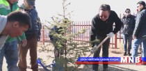 Монгол Улсын Ерөнхийлөгч Ц.Элбэгдорж Тасганы овооны бичил цэцэрлэгт хүрээлэнд мод тарив