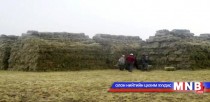 Өвөлжилтийн бэлтгэл 60 гаруй хувьтай байна