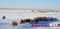 Баянхонгор аймагт бэлчээрийн даац хэтэрчээ