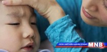 Ханиадны шинэ төрлийн вирус дэгдээгүй