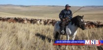 Малчдын нийгмийн даатгалын шимтгэл төлсөн хугацааг нэмэгдүүлж тооцдог байх нь зөв гэв