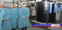 Эм үйлдвэрлэлийн салбарт хөрөнгө оруулалт хэрэгтэй байна 