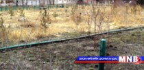 “Цөлийн цэцэрлэг” туршилтын үр дүнг танилцуулж байна