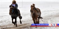 Өвлийн морин уралдааныг хүүхэд хамгааллын хуулиар зохицуулна 
