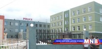 Хятадын иргэн хууль бусаар зэрлэг гахай тээвэрлэж явжээ