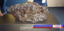 Францад солирын хэлтэрхийн дуудлага худалдаа болно