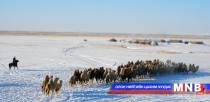 Увс аймгийн нийт нутаг цасан бүрхүүлтэй байна
