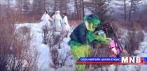 “Шанз-3” хамтлаг “Ноён Грийнч”
