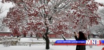 БНСУ-д сүүлийн 15 жил тохиогоогүй их хүйтрэв