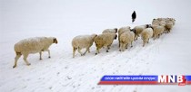 Говь-Алтай аймгийн зарим сум цас ихтэй байна 