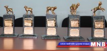 2015 оны “Алтан төлийн эзэн