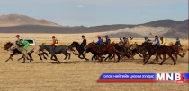 “Хэрлэнгийн хурд-2016” бага насны морьдын уралдаан болно 