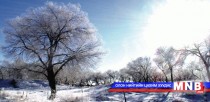 “Өвөл“ эссэ тэмдэглэл...