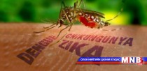 Зика вирусын халдвар бэлгийн замаар дамжсан тохиолдол бүртгэгджээ