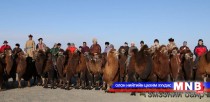 1000 тэмээний уралдаан Гиннесийн номд бичигдэнэ