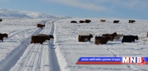 Архангай аймгийн Тариат, Хангай, Цахир сум зудын байдалтай байна