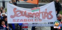 Унгарын багш нар Засгийн газрынхаа бодлогыг эсэргүүцэн жагслаа