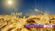 Газар тэнгэр /2016.03.28/
