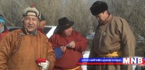 Улсын заан Д.Хишигдорж 
