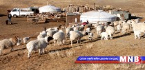 Тариалангийн тухай хуулиар малчдын эрх зөрчигдөж байна уу