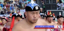 Улсын цолд ойрхон бөх