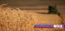 Улаан буудайн урамшууллын хэмжээг нэг тонныг нь 50 мянган төгрөгөөр тогтоов