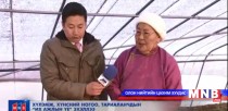 Өвөл унтсан модыг хэрхэн сэрээх болон  хаврын арчилгаа