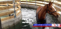 Өндөр хөгжилтэй орнууд морин спортыг хэрхэн анхаардаг вэ