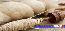 Хаягдал ноолууран утсыг эдийн засгийн эргэлтэд оруулна