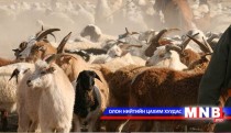 Малчин /2016.05.12/
