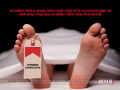 Өнөөдөр Дэлхийн тамхины эсрэг өдөр