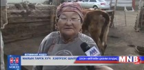 Малын тарга хүч хэвтрээс шалтгаалдаг 