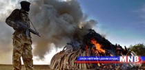 105 тонн зааны соёог шатаажээ
