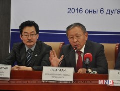 Эх хэл, түүх, соёлын талаар хэрэгжүүлэх төслүүдийг танилцуулав