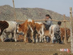 Боомоор өвчилсөн хоёр иргэн аймгийнхаа бүсийн оношлогооны төвд эмчлүүлж байна 