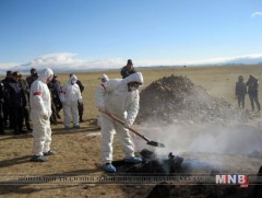 14 суманд мялзан төст өвчний голомт байна