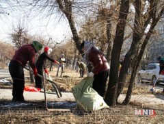 Сүхбаатар дүүргийнхэн  270 гаруй тонн хог хаягдлыг цэвэрлэжээ