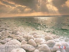 Давс гоо сайханд тустай 