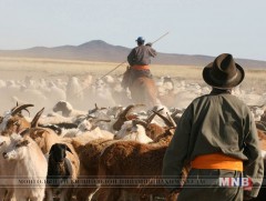 Малын халдварт өвчин, түүнээс урьдчилан сэргийлэх нь...