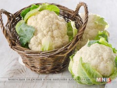 Цагаан цэцэгт байцааг цөсний чулуутай хүн хэтрүүлэн хэрэглэж болохгүй