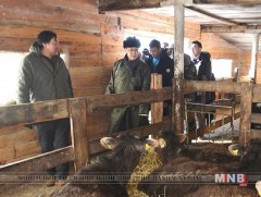 Ерөнхий сайд Ж.Эрдэнэбат  Төв аймгийн Баянчандмань, Борнуур суманд ажиллалаа