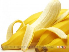 Гадил жимсний гайхамшигт тус