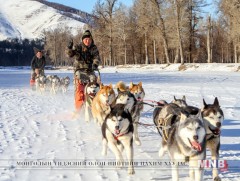 Дотоодын аяллыг дорвитой дэмжье