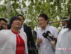 Ерөнхийлөгч Х.Баттулга нарийн ногоо ургуулж байгаа үндэсний үйлдвэрлэгчдийн хүлэмжээр зочлов