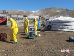 Ариутгал, халдваргүйжүүлэлт хийж байна