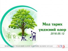 Маргааш бүх нийтээрээ мод тарина